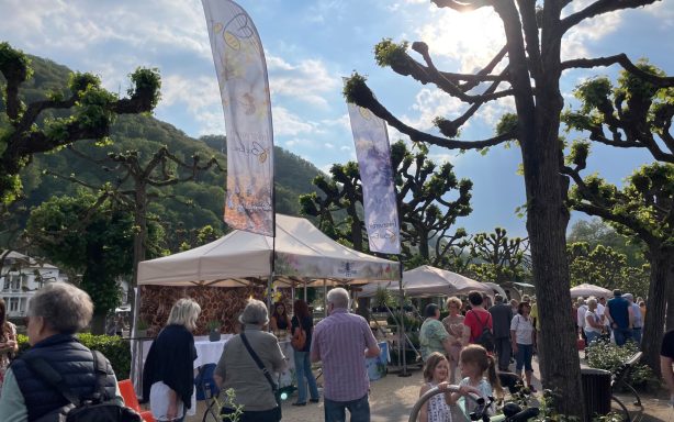 Unser Marktstand auf dem Emser Abendmarkt