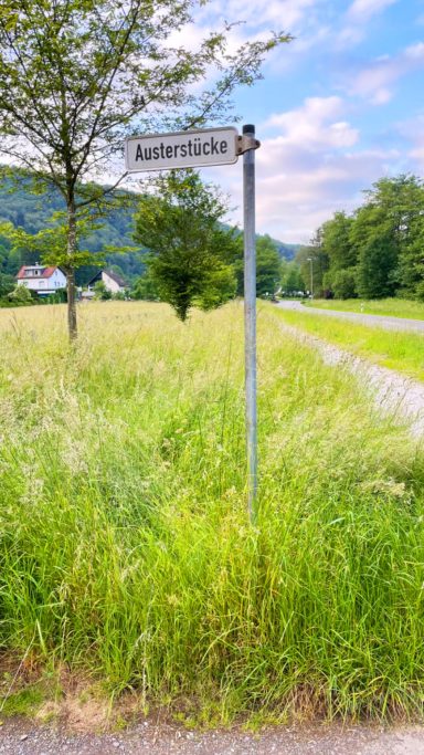 Unsere Auffahrt mit dem Straßenschild
