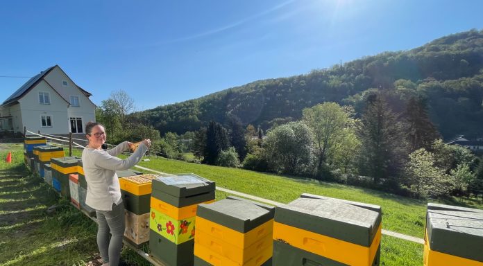 Imkerin Stephanie Schmitz an den Bienen