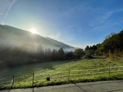 Aussicht auf die Schafweide in den Austerstücken mit Nebelschwaden und der durchbrechenden Sonne.